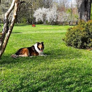 Meet your Posher, Pam